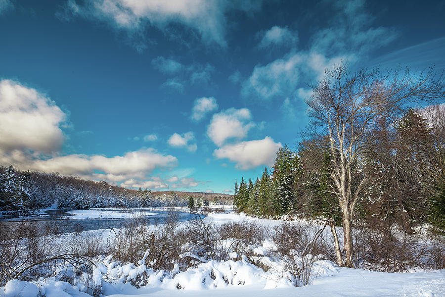 Snow in the Adirondacks Photograph by David Patterson