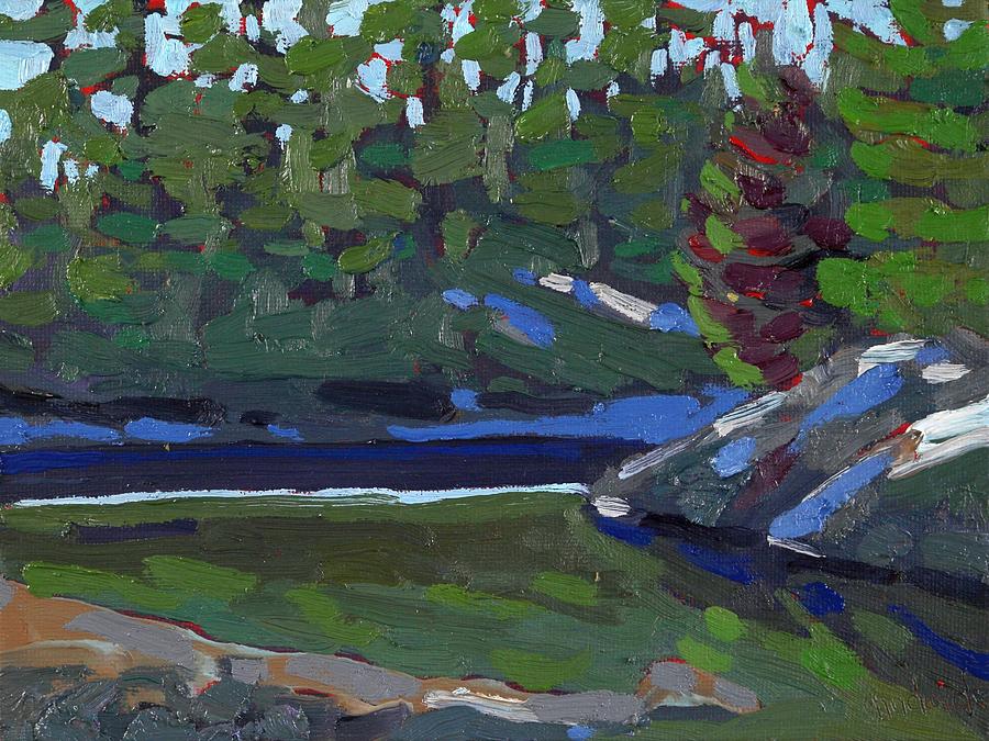 Snow in the Shade at Jim Day Rapids Painting by Phil Chadwick