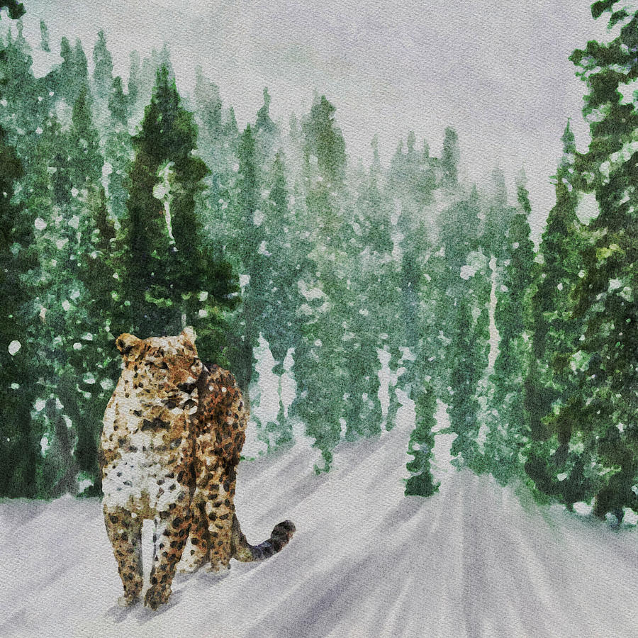 Snow Leopard Mixed Media by Ann Leech