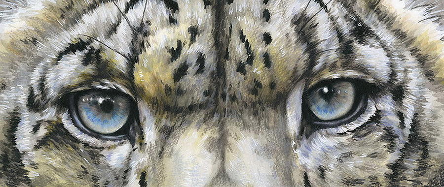 Snow Leopard Glare Painting by Barbara Keith