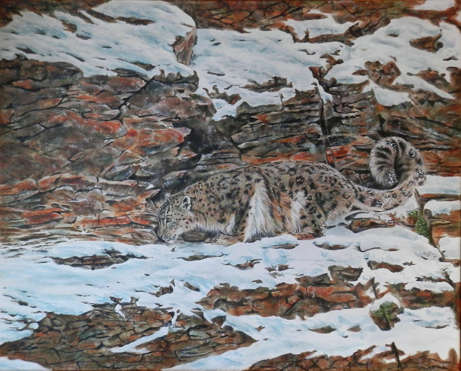 Snow Leopard Painting by John Neeve