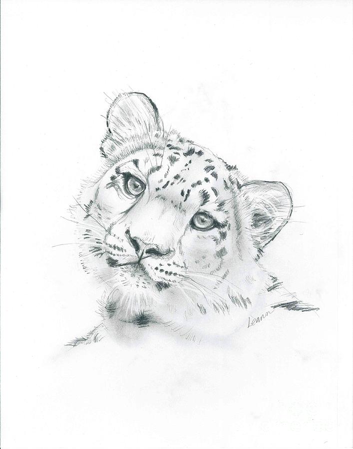 Leopard Drawing - Snow Leopard by Leann Horrocks