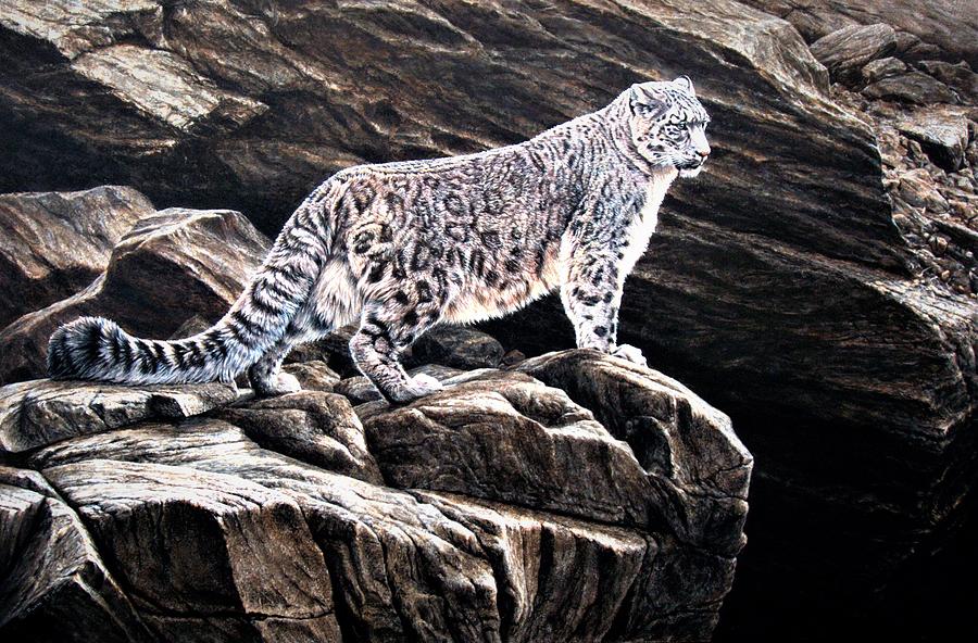 Snow Leopard on rock Painting by Alan M Hunt