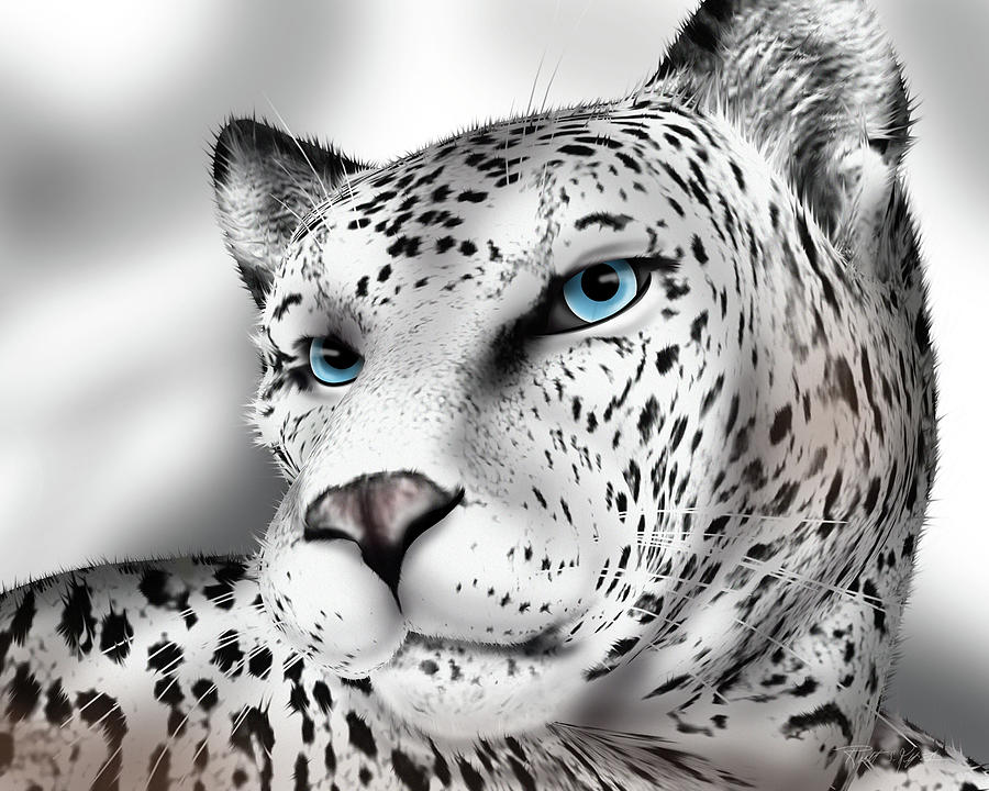 Snow Leopard Digital Art by ArtsEyeStudio - - Fine Art America