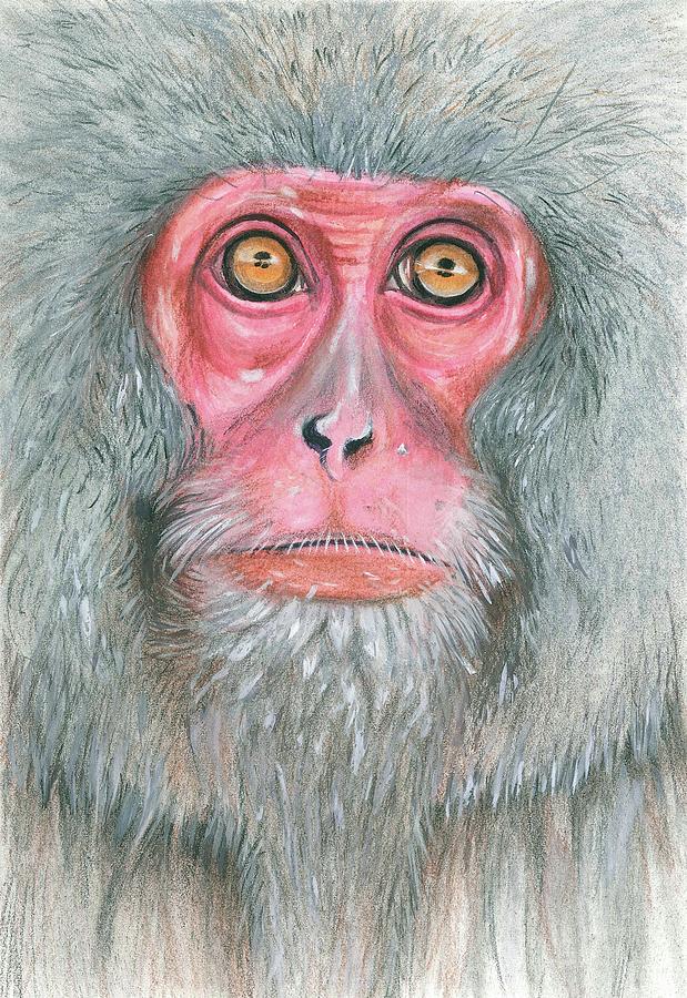 Snow monkey from Nagano Painting by Andrea Snuggs - Fine Art America