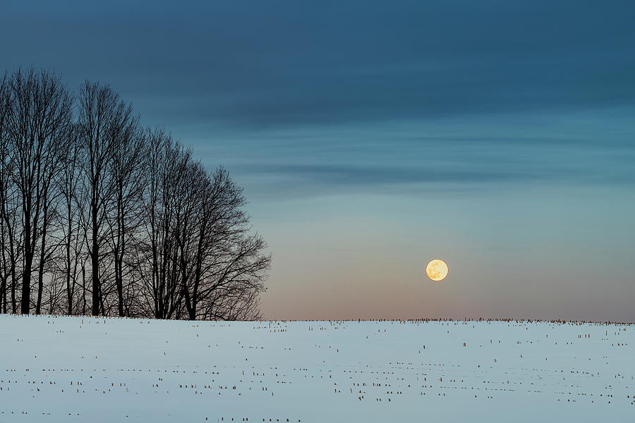 Snow Moon Landscape Photograph by Alan L Graham