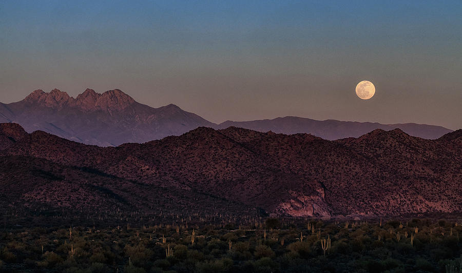 Snow Moon Over The Sonoran Photograph by Saija Lehtonen
