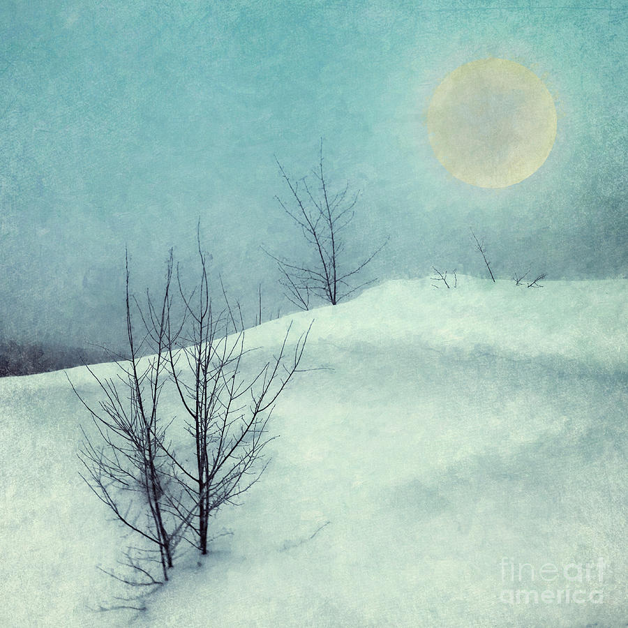 Snow Moon  Photograph by Priska Wettstein