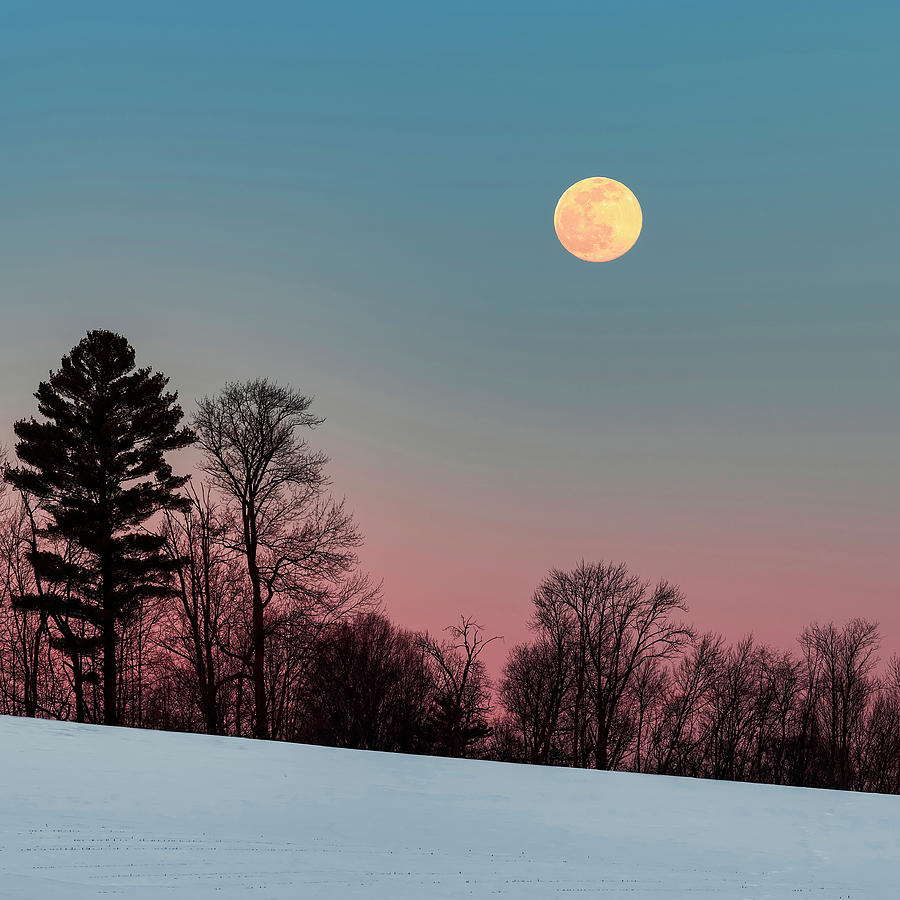 Snow Moon Rising 2 Square Photograph by Alan L Graham