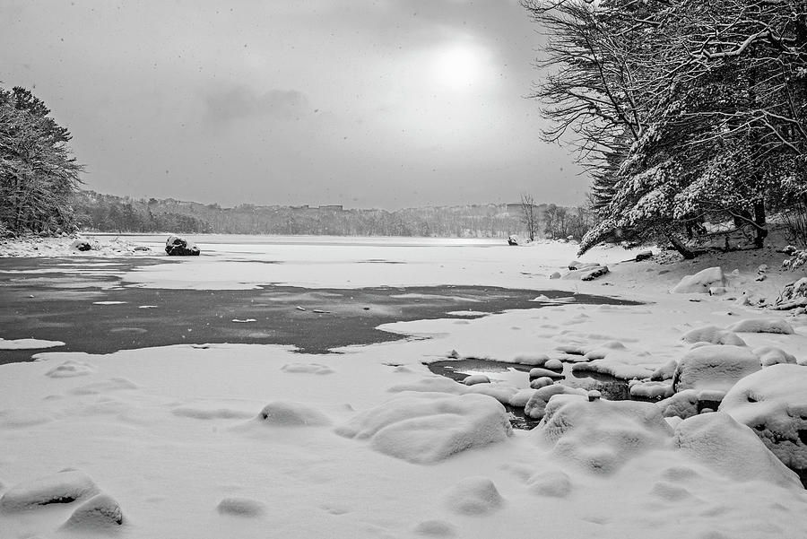 Snow on Breeds Pond in the Lynn Woods in Lynn Massachusetts Black and White Photograph by Toby McGuire