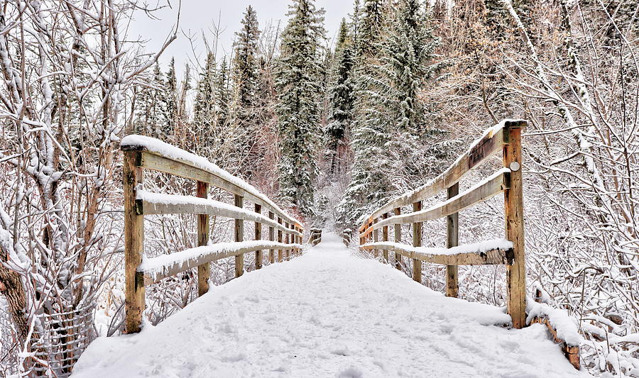 Snow on Bridge Photograph by Jim Sauchyn