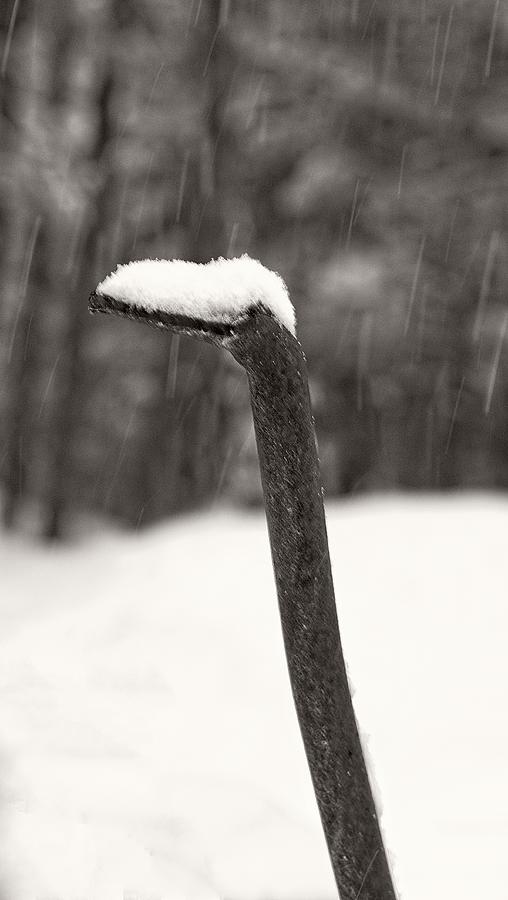Snow on Crane Sculpture Photograph by Steven Ralser