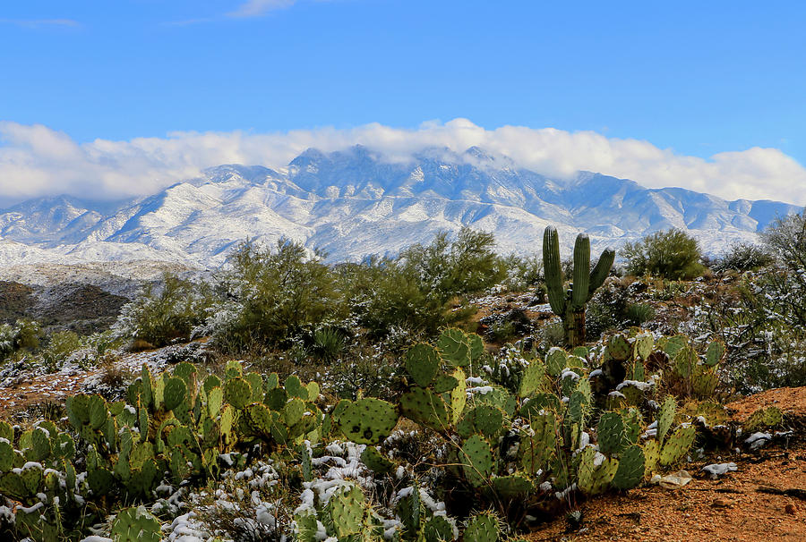 Snow on Four Peaks Mountains 2, Tonto National Forest Photograph by Dawn Richards