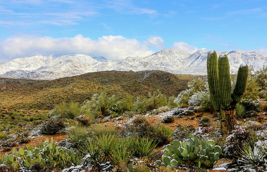 Snow on Four Peaks Mountains 3, Tonto National Forest Photograph by Dawn Richards