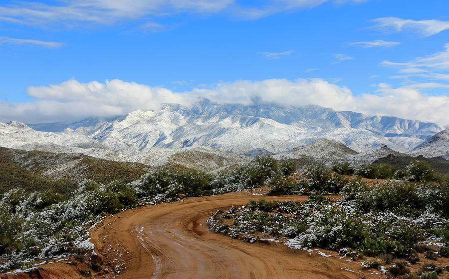 Snow on Four Peaks Mountains 4, Tonto National Forest Photograph by Dawn Richards