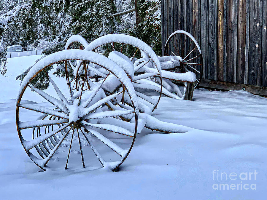 Winter Photograph - Snow on the Farm by Sean Griffin