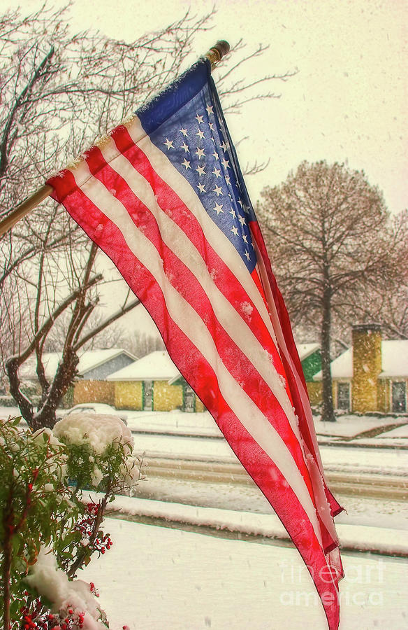 Snow on the Flag Photograph by Joan Bertucci