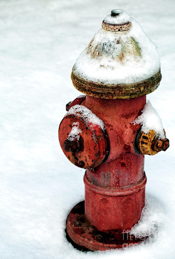 Snow on the Hydrant at East Jersey Olde Towne Photograph by John Rizzuto