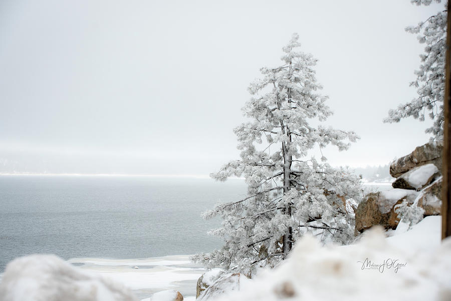 Snow On The Lake Photograph