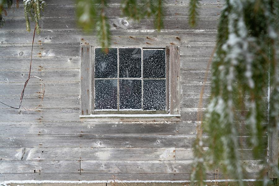 Snow on the Pane Photograph by Brooke Bowdren