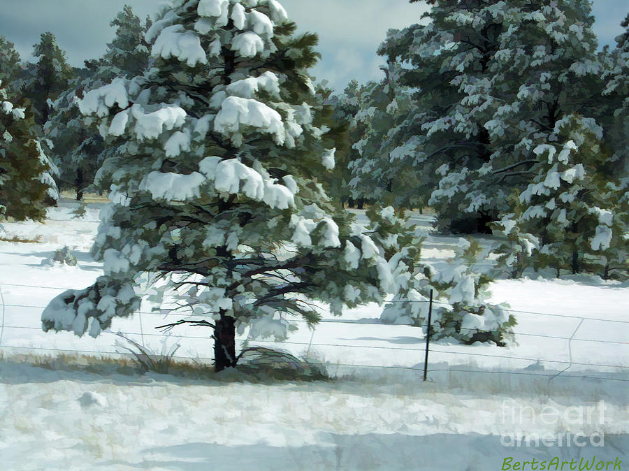 Snow On Trees Photograph by Roberta Byram