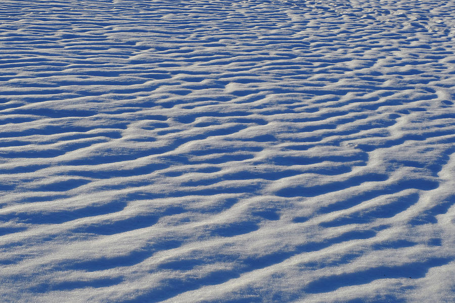 Snow Pattern Photograph by Chevy Fleet