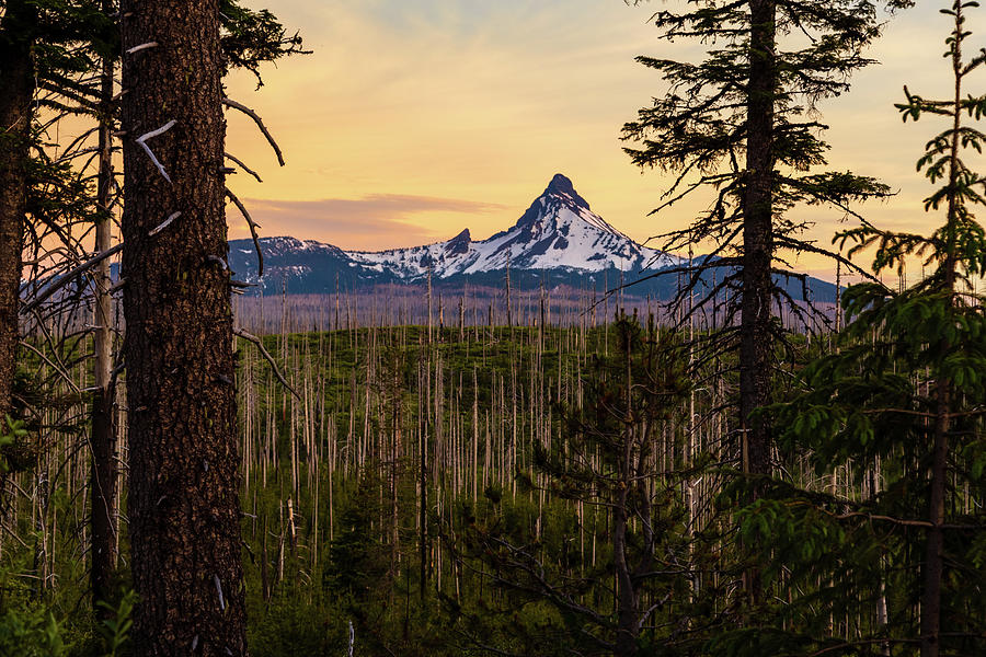 Snow Peak Mountain, Central Oregon Photograph by Aashish Vaidya