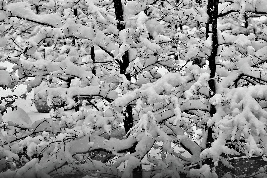 Snow piling up Photograph by Mark Neuman-Scott - Pixels