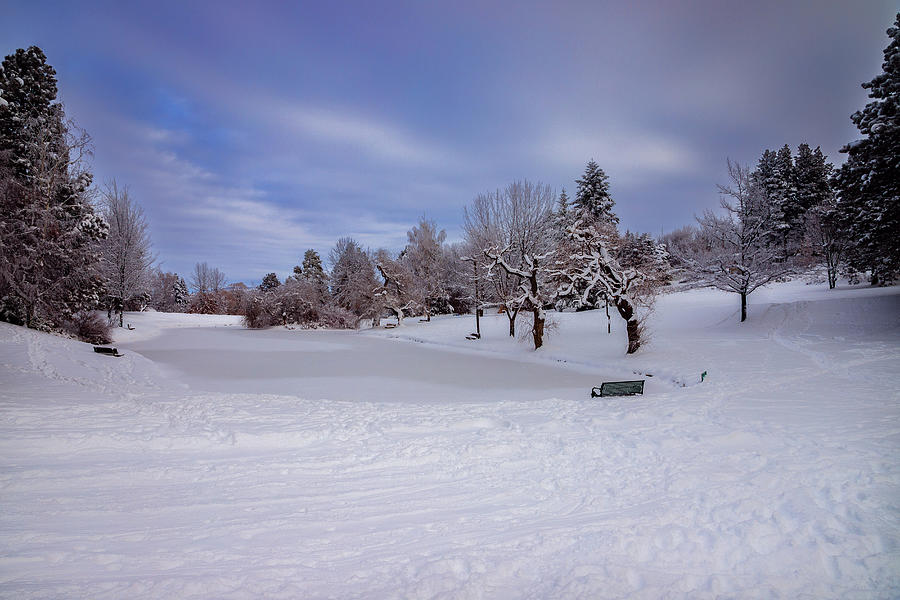 Snow Prints Photograph by David Patterson
