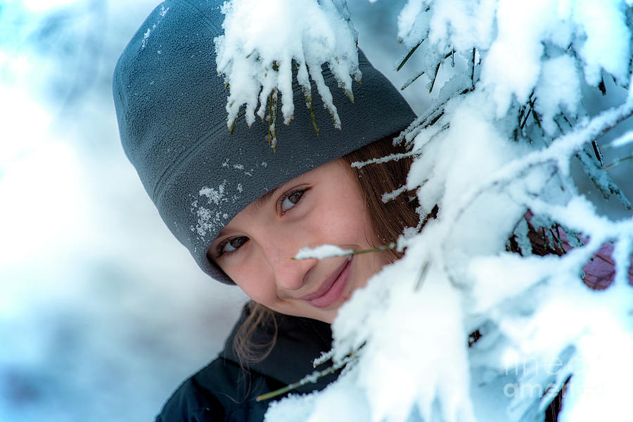 Snow Queen Photograph by Alan Riches