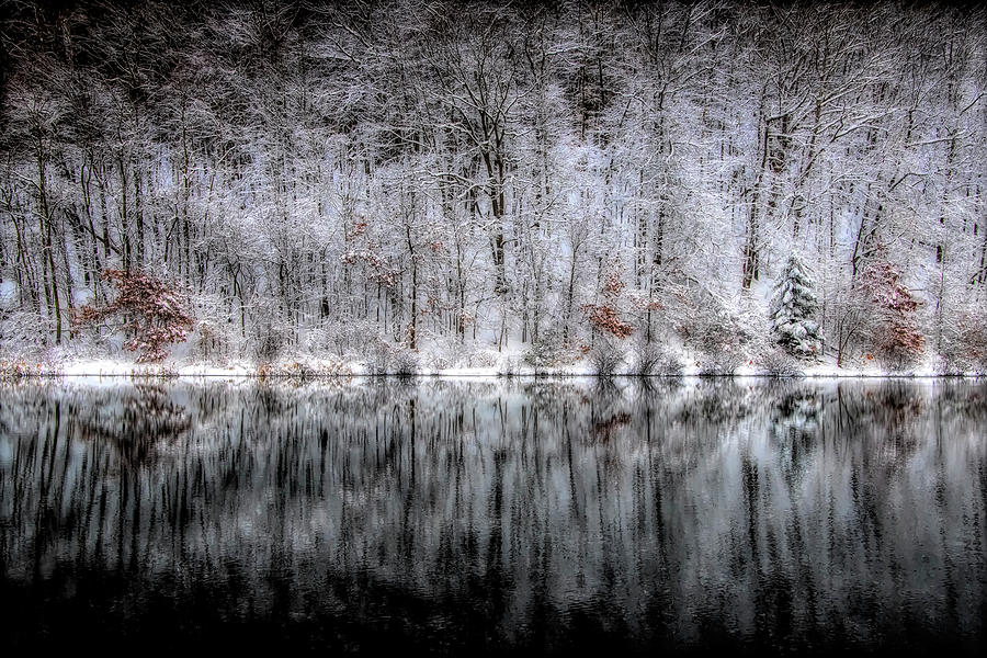 Snow reflection in the water Photograph by Dan Friend