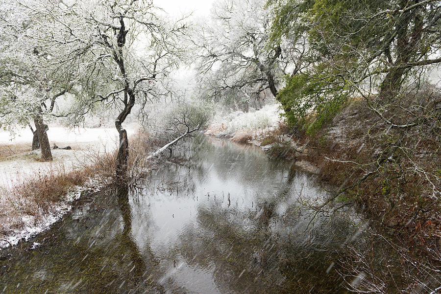 Snow reflection Photograph by John Johnson