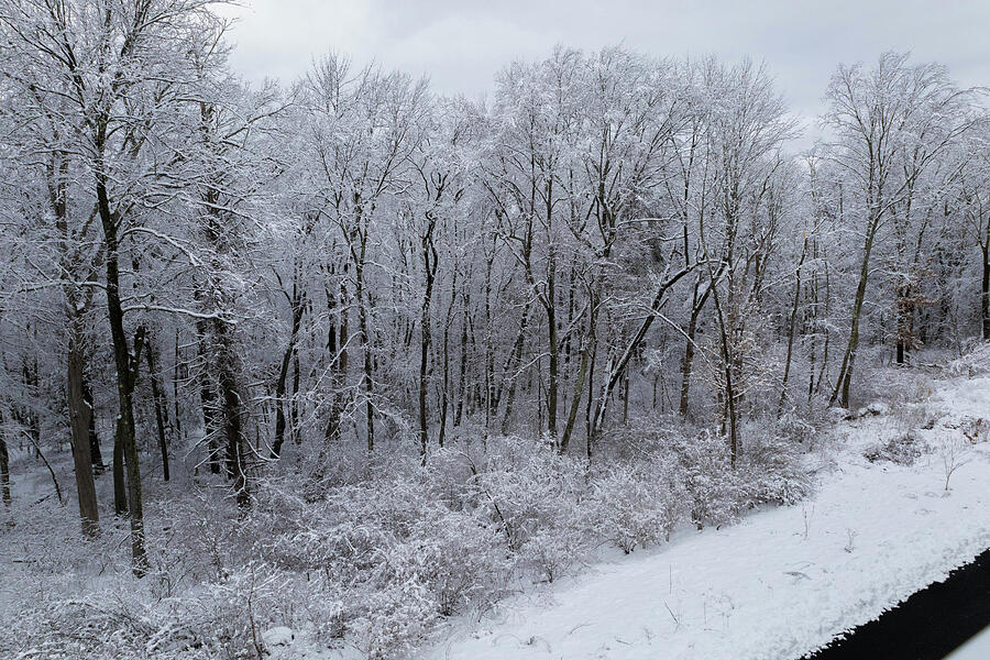 Snow Scene 2023 v2 Photograph by Lorraine Palumbo - Fine Art America