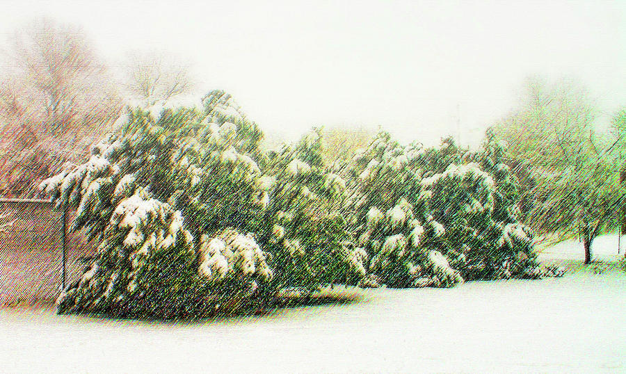 Snow scene, Arlington, VA Photograph by Bill Jonscher