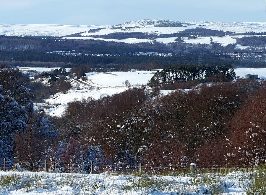 Snow scene near Grantown on Spey Photograph by Phil Banks
