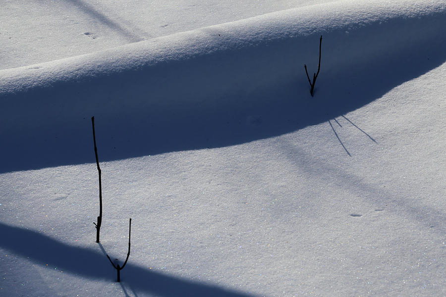 Snow Shadows 012922 Photograph by Mary Bedy