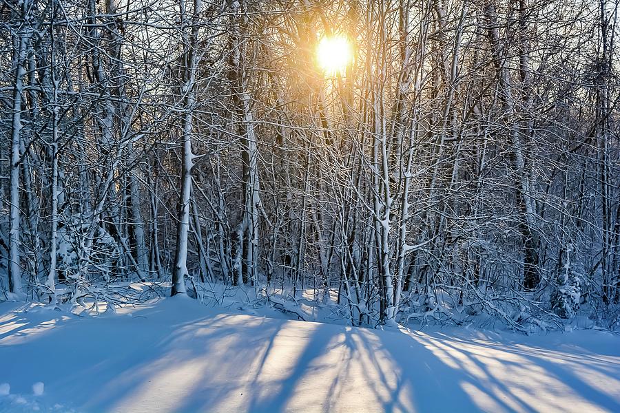 Snow Shadows Photograph by Addison Likins