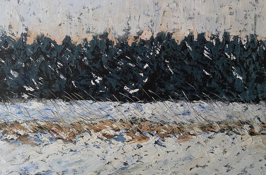 Snow Painting by Sheila Romard