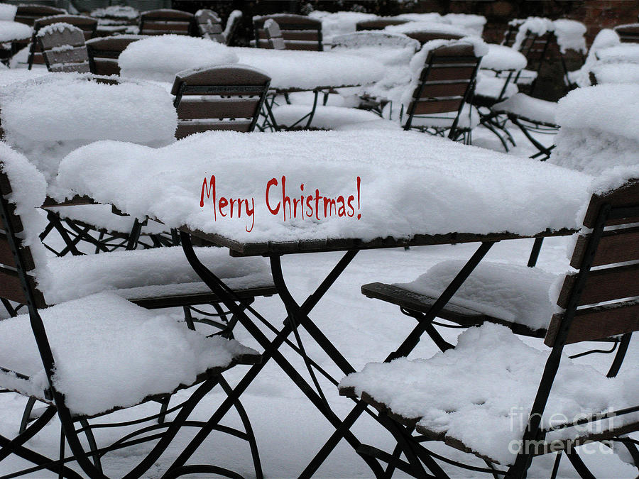 Snow, Snow, Snow  - Merry Christmas Photograph