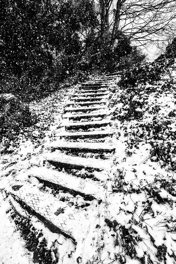 Snow Steps Digital Art by LGP Imagery