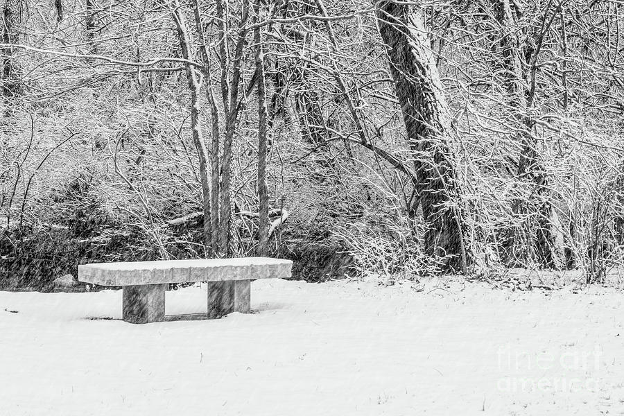 Snow Storm Bench Grayscale Photograph by Jennifer White