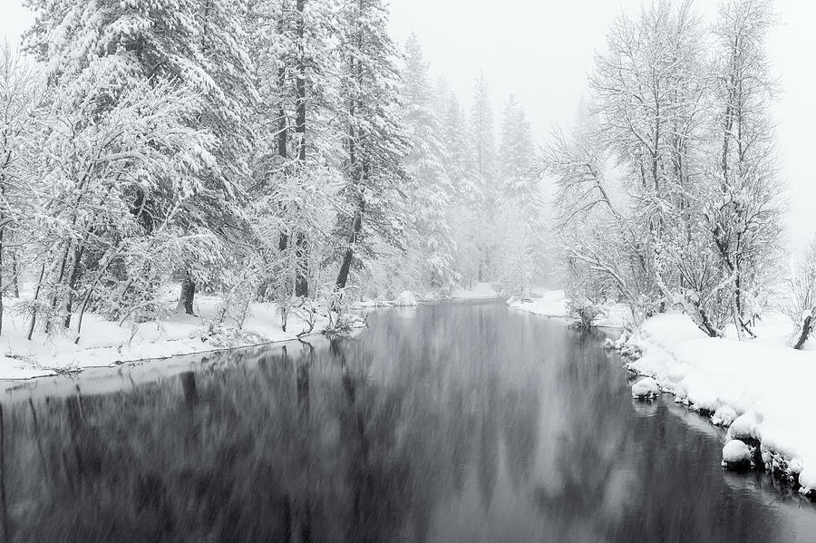 Snow Storm Bw Photograph by Jonathan Nguyen