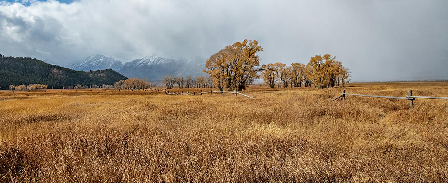 Snow Storm in Jackson Hole Photograph by Mark Duehmig