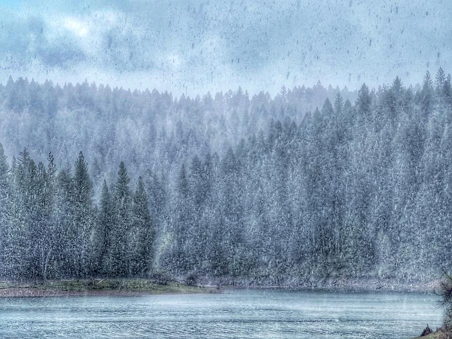 Snow Storm Photograph by Steph Gabler