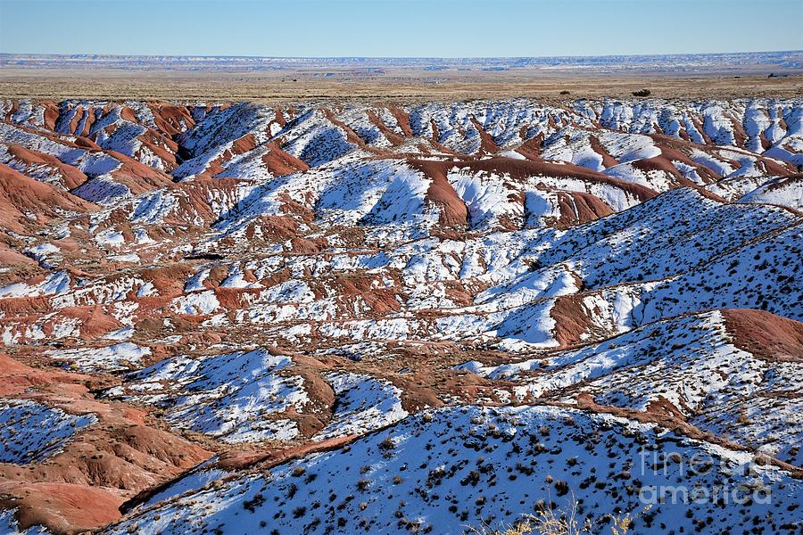 Snow Swept Painted Desert Photograph by Leslie M Browning