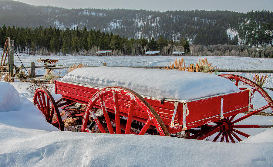 Snow Wagon Photograph by Marcy Wielfaert
