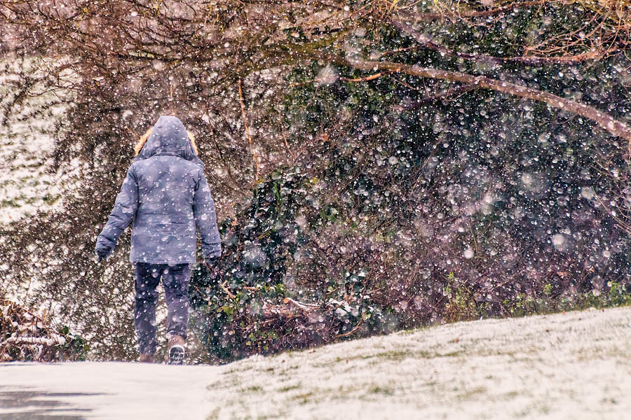Snow Walking Digital Art by LGP Imagery