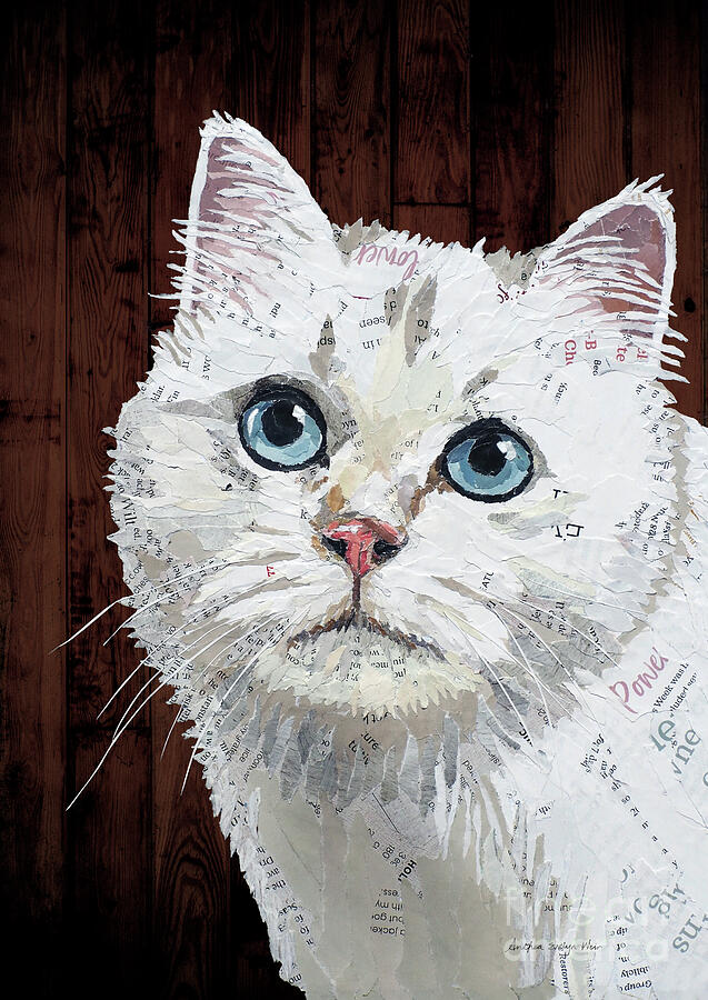 White Cat Mixed Media - Snow white Cat by Anthea Weir