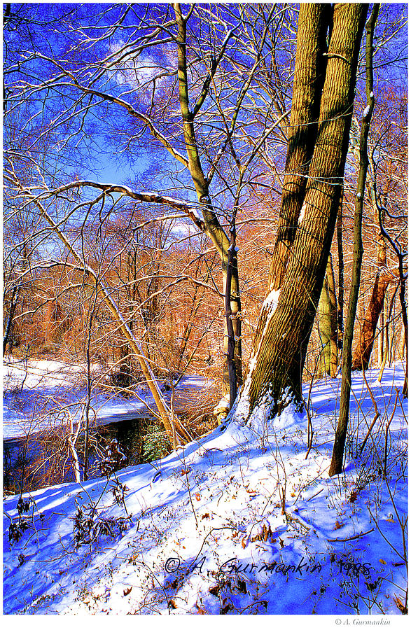 Snow, Woodland Stream, Pennsylvania Photograph by A Macarthur Gurmankin