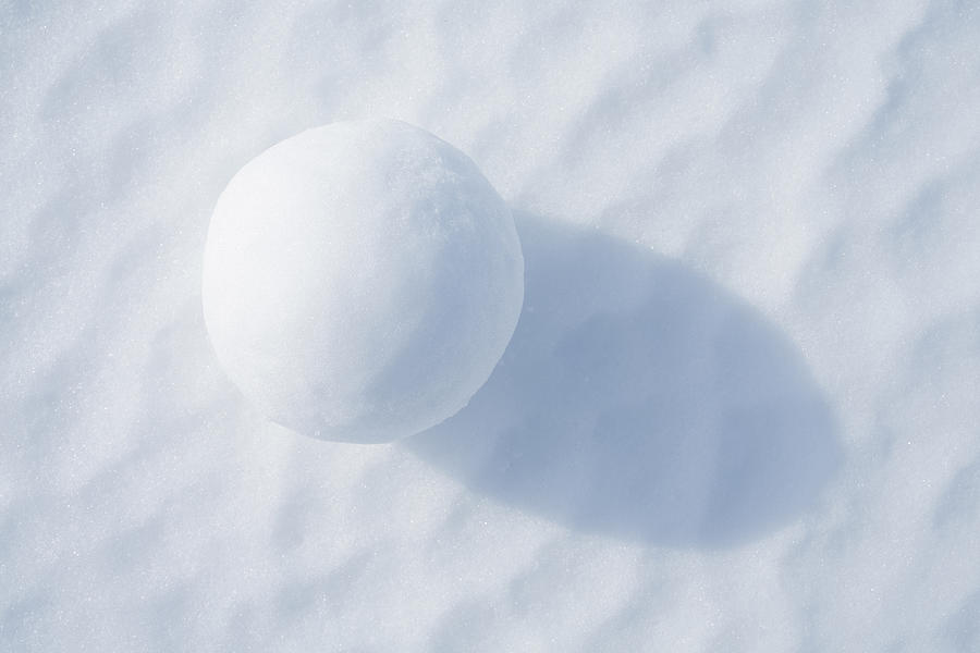 Snowball Photograph by Malerapaso